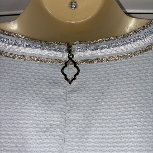 Lilly Pulitzer Mila Shift Dress 12 Seaside Grey Embroidered Cotton Resort - Picture 6 of 9